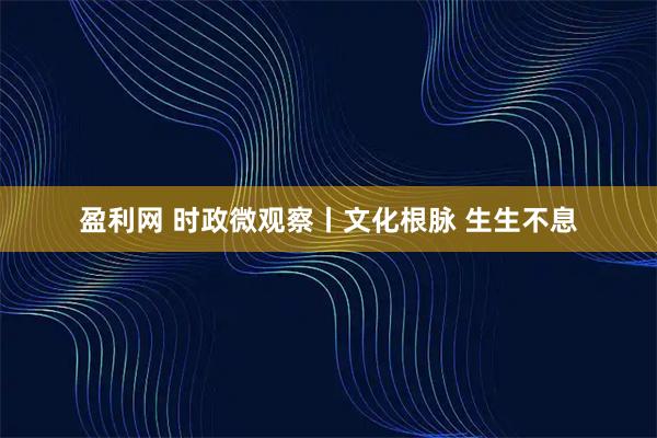 盈利网 时政微观察丨文化根脉 生生不息
